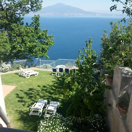 Scutolo