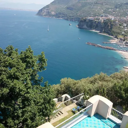 Scutolo